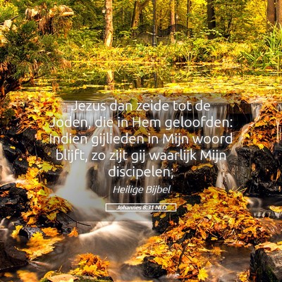 Picture 05 - Johannes 8:31 NLD - Jezus dan zeide tot de Joden, die in Hem - Bible Verse Picture
