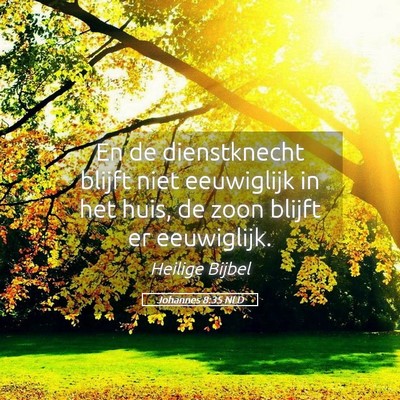 Picture 05 - Johannes 8:35 NLD - En de dienstknecht blijft niet eeuwiglijk in het - Bible Verse Picture