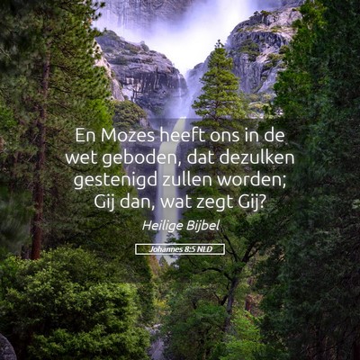 Picture 05 - Johannes 8:5 NLD - En Mozes heeft ons in de wet geboden, dat - Bible Verse Picture