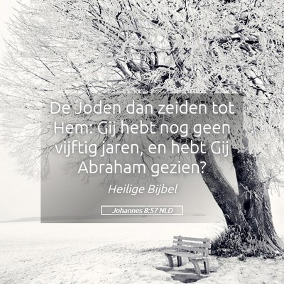 Picture 05 - Johannes 8:57 NLD - De Joden dan zeiden tot Hem: Gij hebt nog geen - Bible Verse Picture