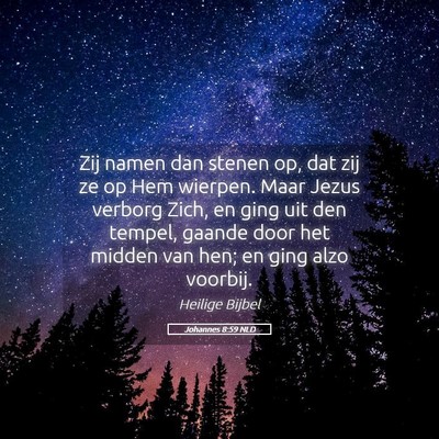 Picture 05 - Johannes 8:59 NLD - Zij namen dan stenen op, dat zij ze op Hem - Bible Verse Picture