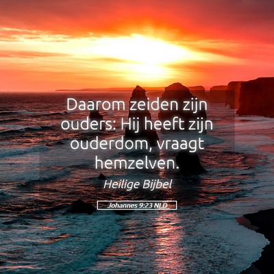 Picture 05 - Johannes 9:23 NLD - Daarom zeiden zijn ouders: Hij heeft zijn - Bible Verse Picture