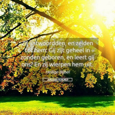 Picture 05 - Johannes 9:34 NLD - Zij antwoordden, en zeiden tot hem: Gij zijt - Bible Verse Picture