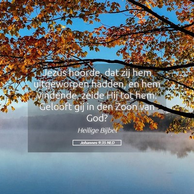 Picture 05 - Johannes 9:35 NLD - Jezus hoorde, dat zij hem uitgeworpen hadden, en - Bible Verse Picture