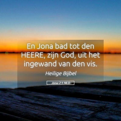Picture 05 - Jona 2:1 NLD - En Jona bad tot den HEERE, zijn God, uit het - Bible Verse Picture