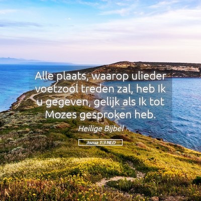 Picture 05 - Jozua 1:3 NLD - Alle plaats, waarop ulieder voetzool treden zal, - Bible Verse Picture