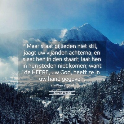 Picture 05 - Jozua 10:19 NLD - Maar staat gijlieden niet stil, jaagt uw vijanden - Bible Verse Picture