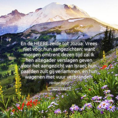 Picture 05 - Jozua 11:6 NLD - En de HEERE zeide tot Jozua: Vrees niet voor hun - Bible Verse Picture