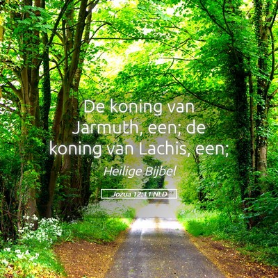 Picture 05 - Jozua 12:11 NLD - De koning van Jarmuth, een; de koning van Lachis, - Bible Verse Picture