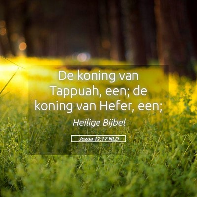 Picture 05 - Jozua 12:17 NLD - De koning van Tappuah, een; de koning van Hefer, - Bible Verse Picture