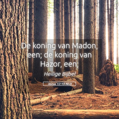 Picture 05 - Jozua 12:19 NLD - De koning van Madon, een; de koning van Hazor, - Bible Verse Picture