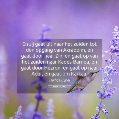 Picture 05 - Jozua 15:3 NLD - En zij gaat uit naar het zuiden tot den opgang - Bible Verse Picture