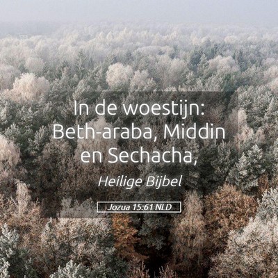 Picture 05 - Jozua 15:61 NLD - In de woestijn: Beth-araba, Middin en - Bible Verse Picture