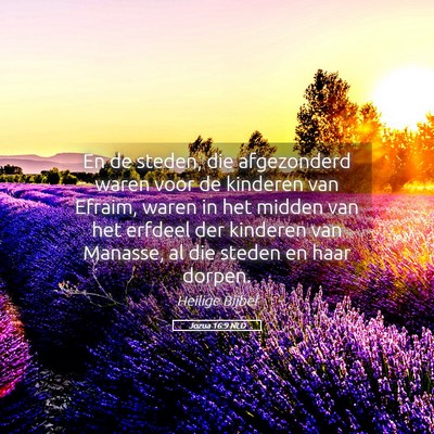 Picture 05 - Jozua 16:9 NLD - En de steden, die afgezonderd waren voor de - Bible Verse Picture