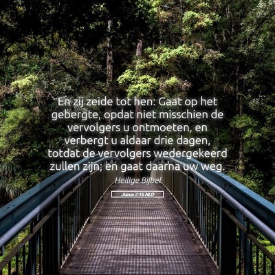 Picture 05 - Jozua 2:16 NLD - En zij zeide tot hen: Gaat op het gebergte, opdat - Bible Verse Picture