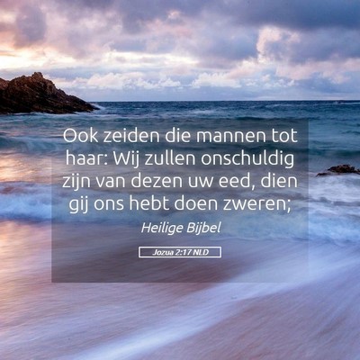 Picture 05 - Jozua 2:17 NLD - Ook zeiden die mannen tot haar: Wij zullen - Bible Verse Picture