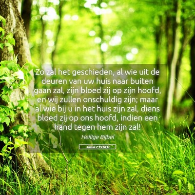 Picture 05 - Jozua 2:19 NLD - Zo zal het geschieden, al wie uit de deuren van - Bible Verse Picture