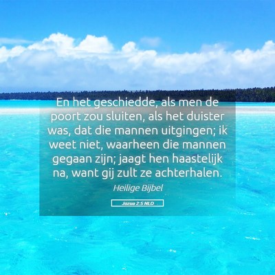 Picture 05 - Jozua 2:5 NLD - En het geschiedde, als men de poort zou sluiten, - Bible Verse Picture