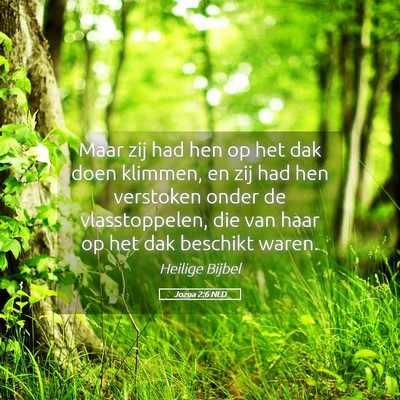 Picture 05 - Jozua 2:6 NLD - Maar zij had hen op het dak doen klimmen, en zij - Bible Verse Picture