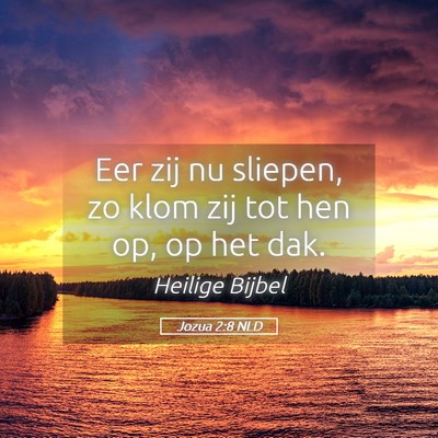 Picture 05 - Jozua 2:8 NLD - Eer zij nu sliepen, zo klom zij tot hen op, op - Bible Verse Picture