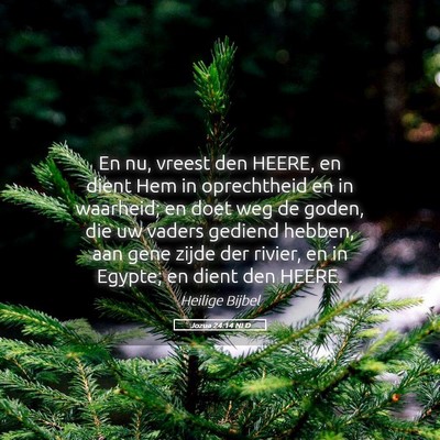 Picture 05 - Jozua 24:14 NLD - En nu, vreest den HEERE, en dient Hem in - Bible Verse Picture