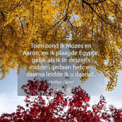 Picture 05 - Jozua 24:5 NLD - Toen zond Ik Mozes en Aaron, en Ik plaagde - Bible Verse Picture