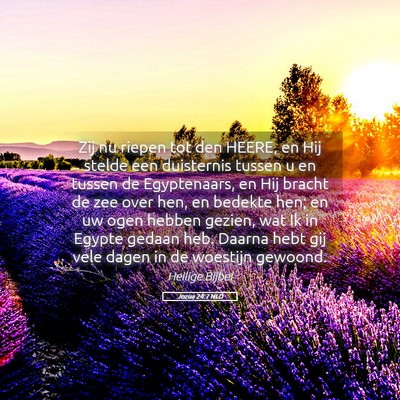 Picture 05 - Jozua 24:7 NLD - Zij nu riepen tot den HEERE, en Hij stelde een - Bible Verse Picture
