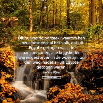 Picture 05 - Jozua 5:4 NLD - Dit nu was de oorzaak, waarom hen Jozua besneed: - Bible Verse Picture