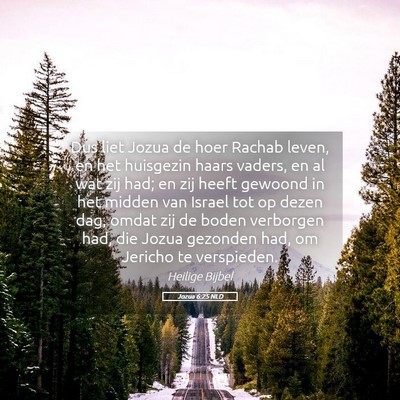 Picture 05 - Jozua 6:25 NLD - Dus liet Jozua de hoer Rachab leven, en het - Bible Verse Picture