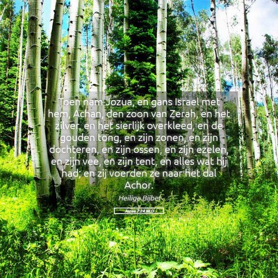 Picture 05 - Jozua 7:24 NLD - Toen nam Jozua, en gans Israel met hem, Achan, - Bible Verse Picture