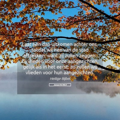 Picture 05 - Jozua 8:6 NLD - Laat hen dan uitkomen achter ons, totdat wij hen - Bible Verse Picture