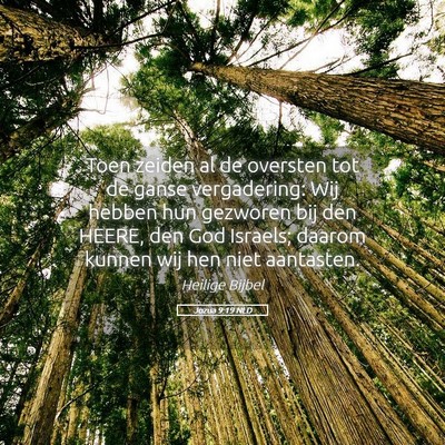 Picture 05 - Jozua 9:19 NLD - Toen zeiden al de oversten tot de ganse - Bible Verse Picture