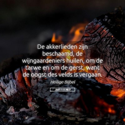 Picture 05 - Joël 1:11 NLD - De akkerlieden zijn beschaamd, de wijngaardeniers - Bible Verse Picture