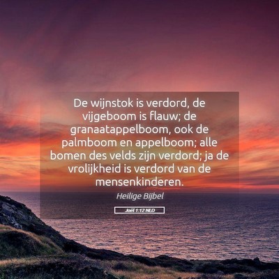 Picture 05 - Joël 1:12 NLD - De wijnstok is verdord, de vijgeboom is flauw; de - Bible Verse Picture