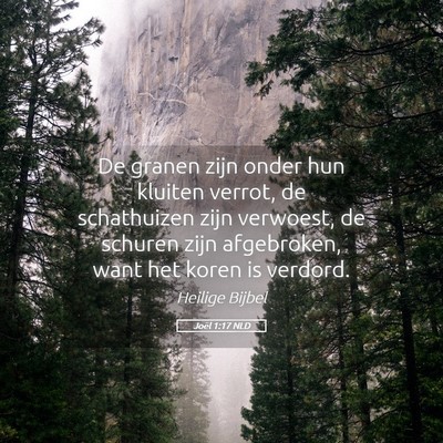 Picture 05 - Joël 1:17 NLD - De granen zijn onder hun kluiten verrot, de - Bible Verse Picture