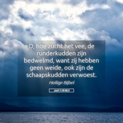 Picture 05 - Joël 1:18 NLD - O, hoe zucht het vee, de runderkudden zijn - Bible Verse Picture