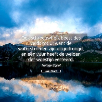 Picture 05 - Joël 1:20 NLD - Ook schreeuwt elk beest des velds tot U; want de - Bible Verse Picture