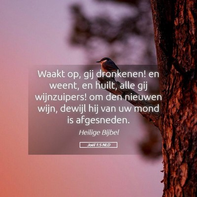 Picture 05 - Joël 1:5 NLD - Waakt op, gij dronkenen! en weent, en huilt, alle - Bible Verse Picture