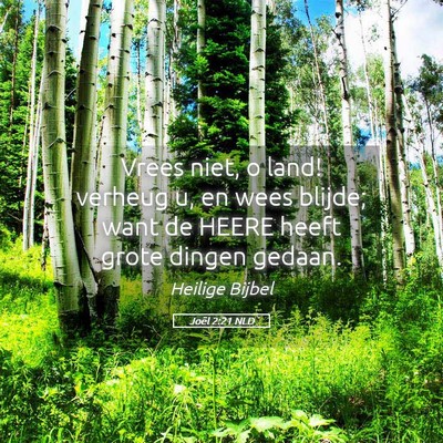 Picture 05 - Joël 2:21 NLD - Vrees niet, o land! verheug u, en wees blijde; - Bible Verse Picture