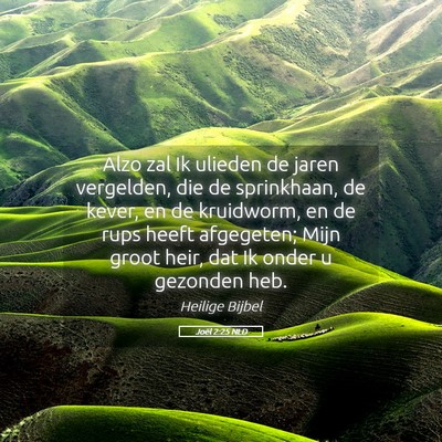 Picture 05 - Joël 2:25 NLD - Alzo zal Ik ulieden de jaren vergelden, die de - Bible Verse Picture