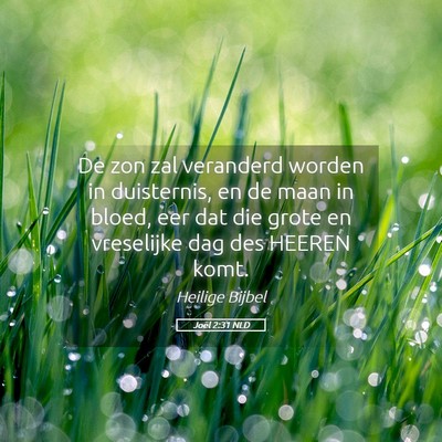 Picture 05 - Joël 2:31 NLD - De zon zal veranderd worden in duisternis, en de - Bible Verse Picture