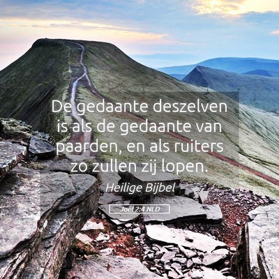 Picture 05 - Joël 2:4 NLD - De gedaante deszelven is als de gedaante van - Bible Verse Picture