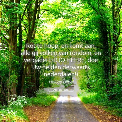 Picture 05 - Joël 3:11 NLD - Rot te hoop, en komt aan, alle gij volken van - Bible Verse Picture