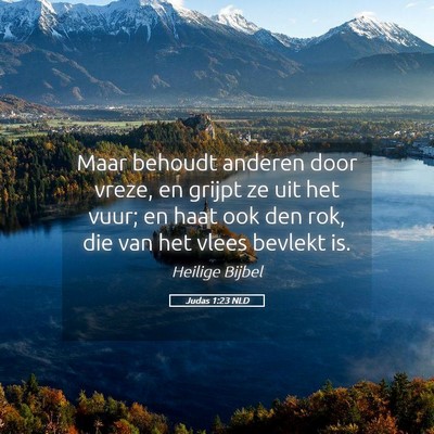 Picture 05 - Judas 1:23 NLD - Maar behoudt anderen door vreze, en grijpt ze uit - Bible Verse Picture