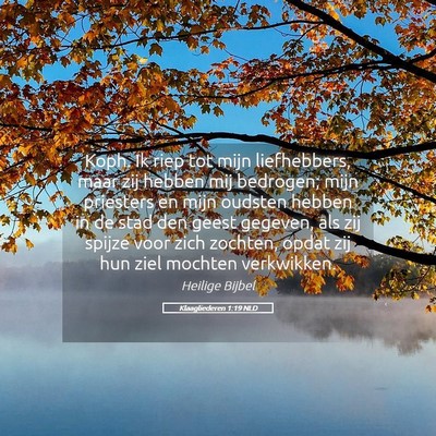 Picture 05 - Klaagliederen 1:19 NLD - Koph. Ik riep tot mijn liefhebbers, maar zij - Bible Verse Picture