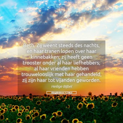 Picture 05 - Klaagliederen 1:2 NLD - Beth. Zij weent steeds des nachts, en haar tranen - Bible Verse Picture