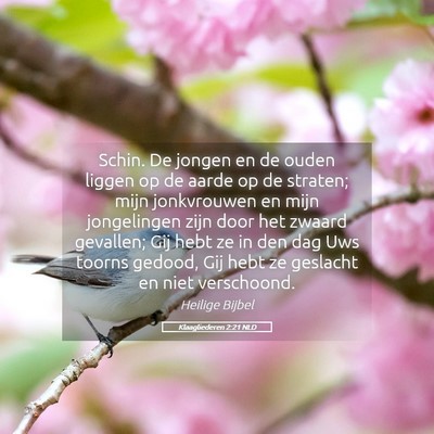 Picture 05 - Klaagliederen 2:21 NLD - Schin. De jongen en de ouden liggen op de aarde - Bible Verse Picture