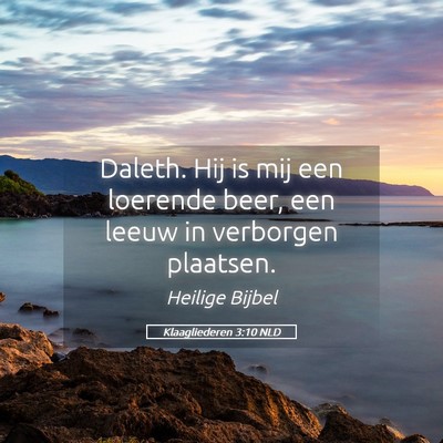 Picture 05 - Klaagliederen 3:10 NLD - Daleth. Hij is mij een loerende beer, een leeuw - Bible Verse Picture