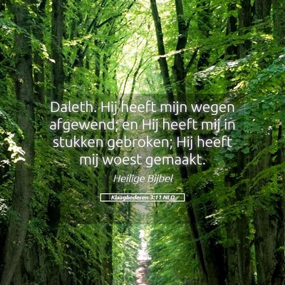 Picture 05 - Klaagliederen 3:11 NLD - Daleth. Hij heeft mijn wegen afgewend; en Hij - Bible Verse Picture