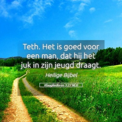Picture 05 - Klaagliederen 3:27 NLD - Teth. Het is goed voor een man, dat hij het juk - Bible Verse Picture